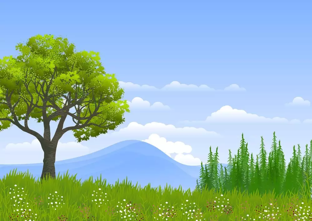 Vista